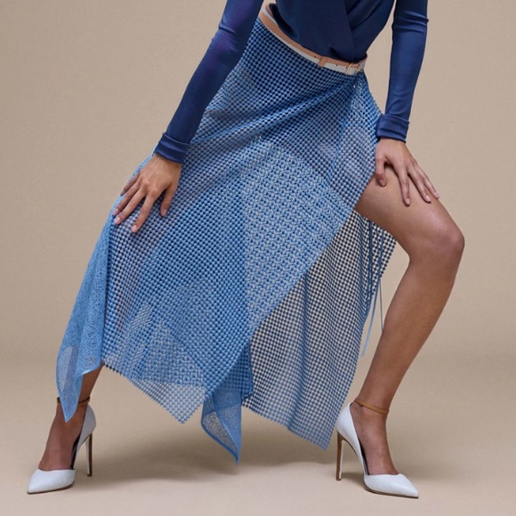Diane Von Furstenberg Asymmetric Layered Mesh Midi Skirt, Size 2 - Picture 4 of 15